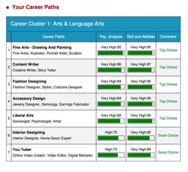Basic Career Fit Assessment - Image 8